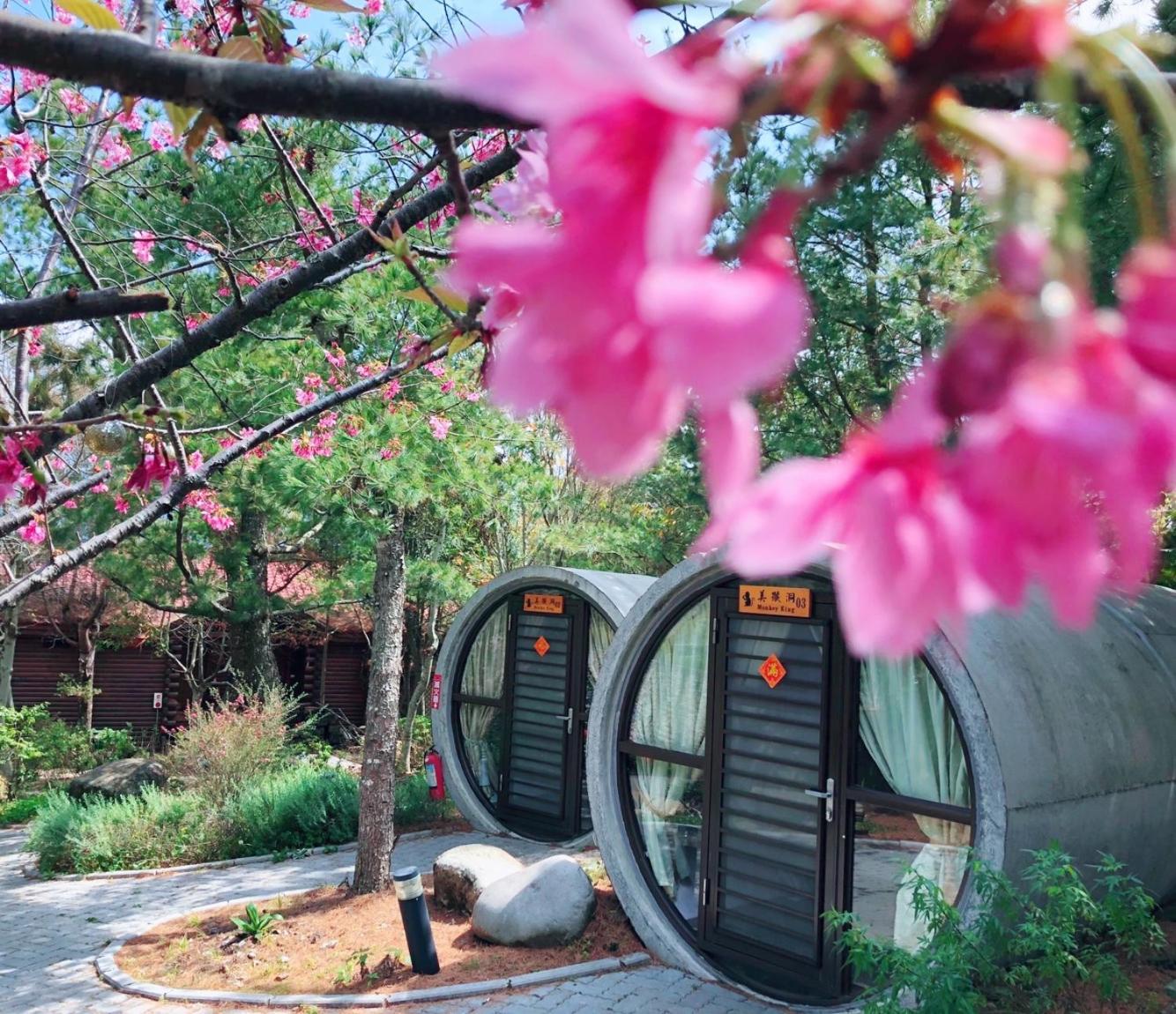 Ailiga Travel Villa เหรินอ้าย ห้อง รูปภาพ